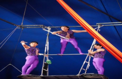 Do Portugal Circus in Staten Island