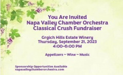 Napa Valley Chamber Orchestra - Classical Crush Fundraiser