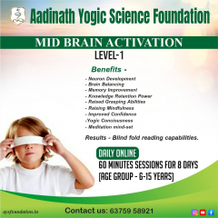 Mid Brain Activation Level 1