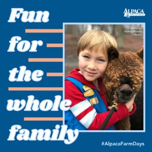 National Alpaca Farm Days at Harley Hill Farm, Quakertown, Pennsylvania, United States