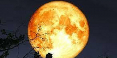 Full Moon Evening of Clairvoyance with TV Psychic Medium Julie Angel