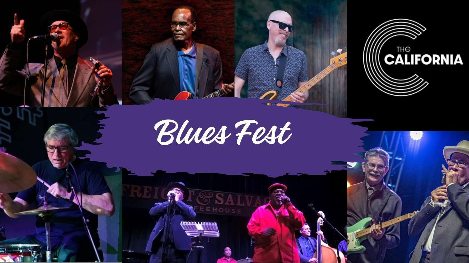Santa Rosa Blues Fest #1, Santa Rosa, California, United States