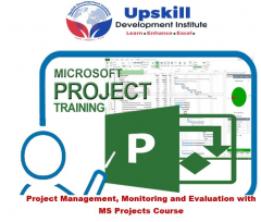 Microsoft Project (MS Project) Training Course