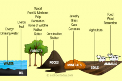 GIS for Natural Resource Management Course
