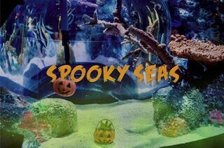 Spooky Seas, Concord, North Carolina, United States