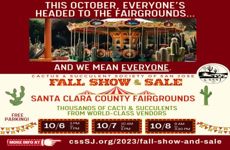 Cactus and Succulent - Fall Show and Plant Sale, San Jose, California, United States