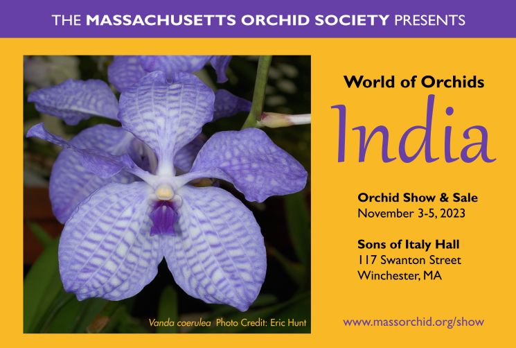 Massachusetts Orchid Society Annual Show, Winchester, Massachusetts, United States