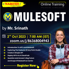 Free Online Demo On MuleSoft - Naresh IT