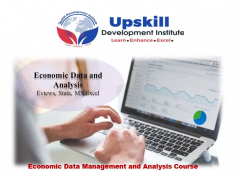 Economic Data Management and Analysis Course