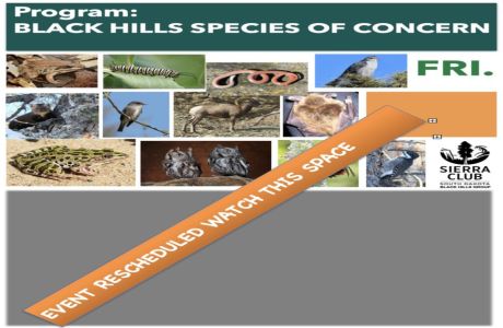 Black Hills Wildlife Species of Concern CANCELED, Rapid City, South Dakota, United States