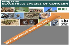 Black Hills Wildlife Species of Concern CANCELED