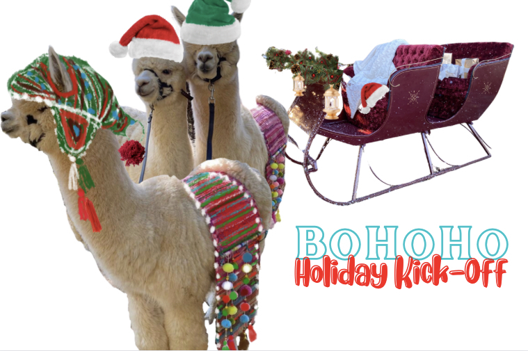 BoHoHo Holiday Kick-Off, Iron Station, North Carolina, United States