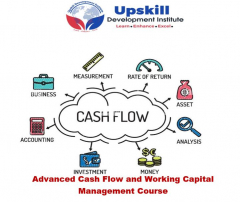 Advanced Cash Flow and Working Capital Management Course