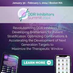 7th DDR Inhibitors Summit