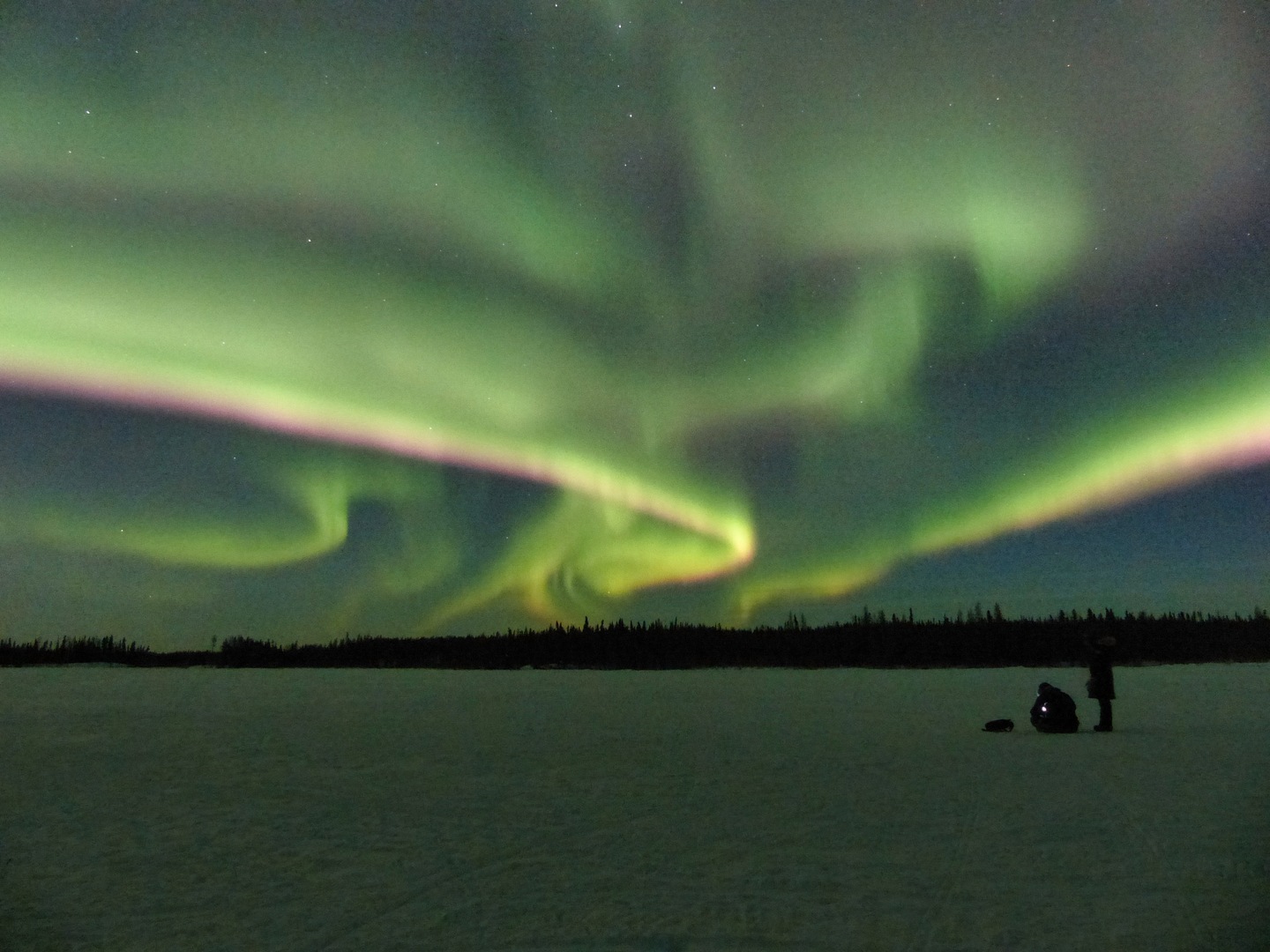 Glorious!, Sidney, British Columbia, Canada