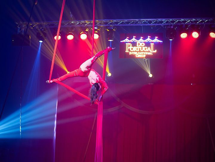 Do Portugal Circus at Westfield Annapolis November 2023, Annapolis, Maryland, United States