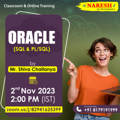 Free Demo On Oracle in NareshIT