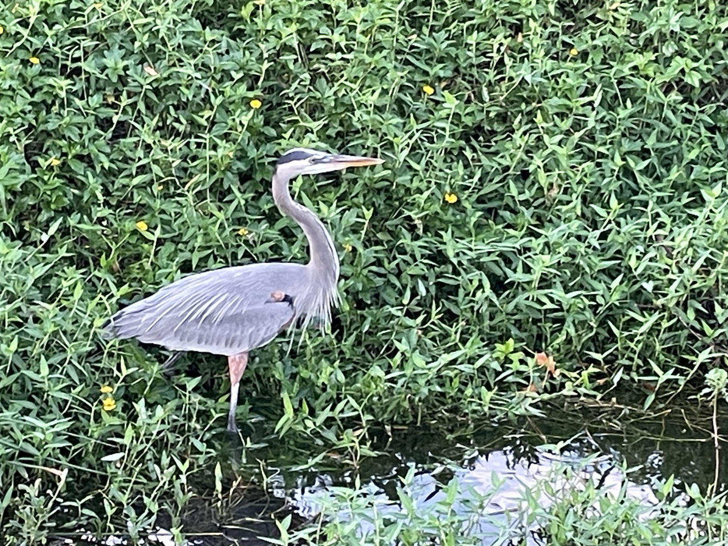 Eagle Point Homeowners Craft Fair, Punta Gorda, Florida, United States