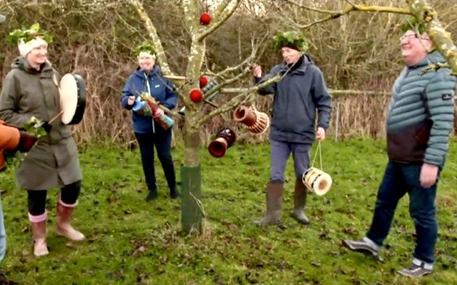 Wassailing the Orchards on Twelfth Night, Seaham, England, United Kingdom