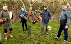 Wassailing the Orchards on Twelfth Night