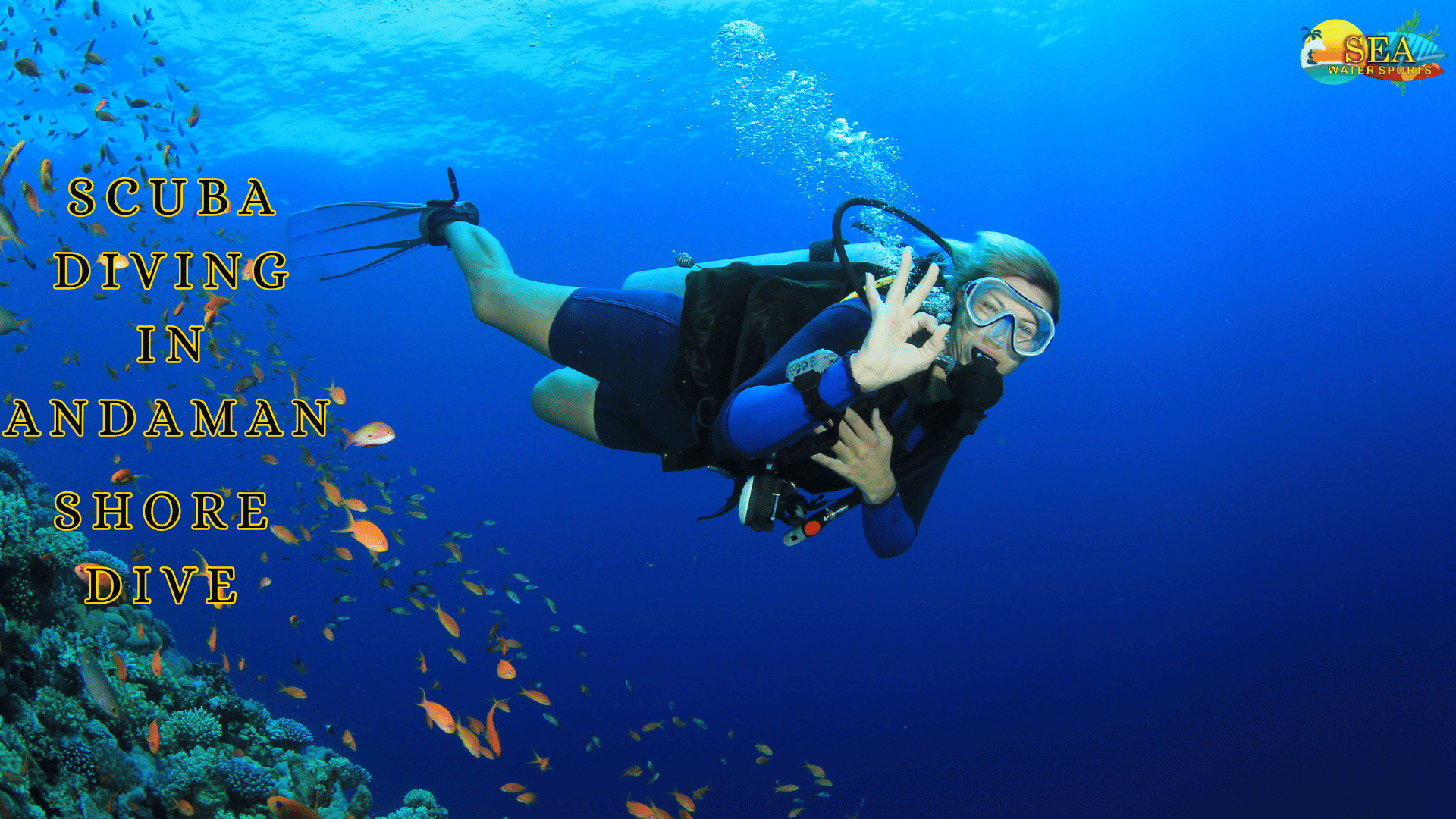 Scuba Diving in Andaman Shore Dive, South Andaman, Andaman and Nicobar, India