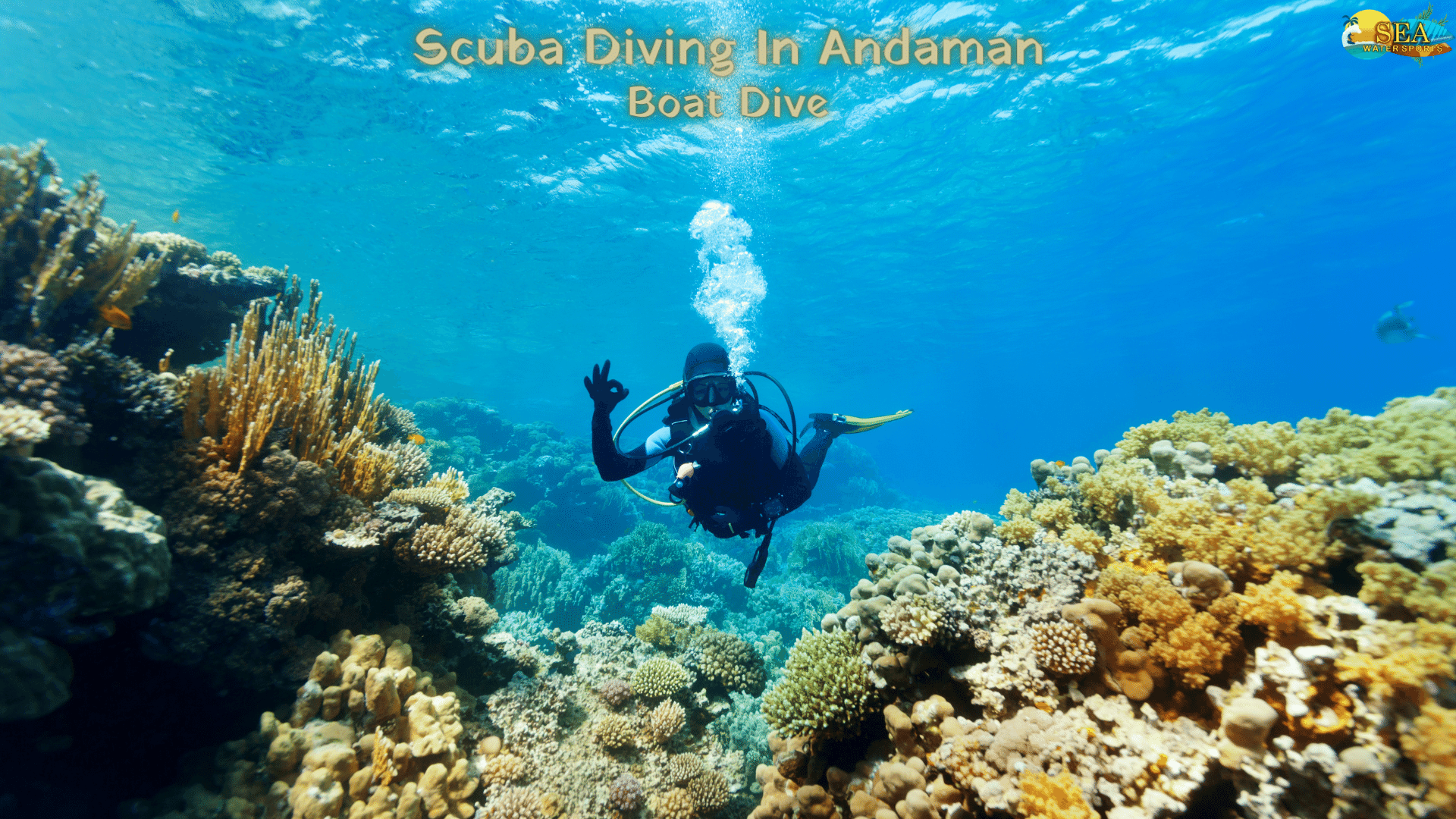 Scuba Diving in Andaman Boat Dive, South Andaman, Andaman and Nicobar, India
