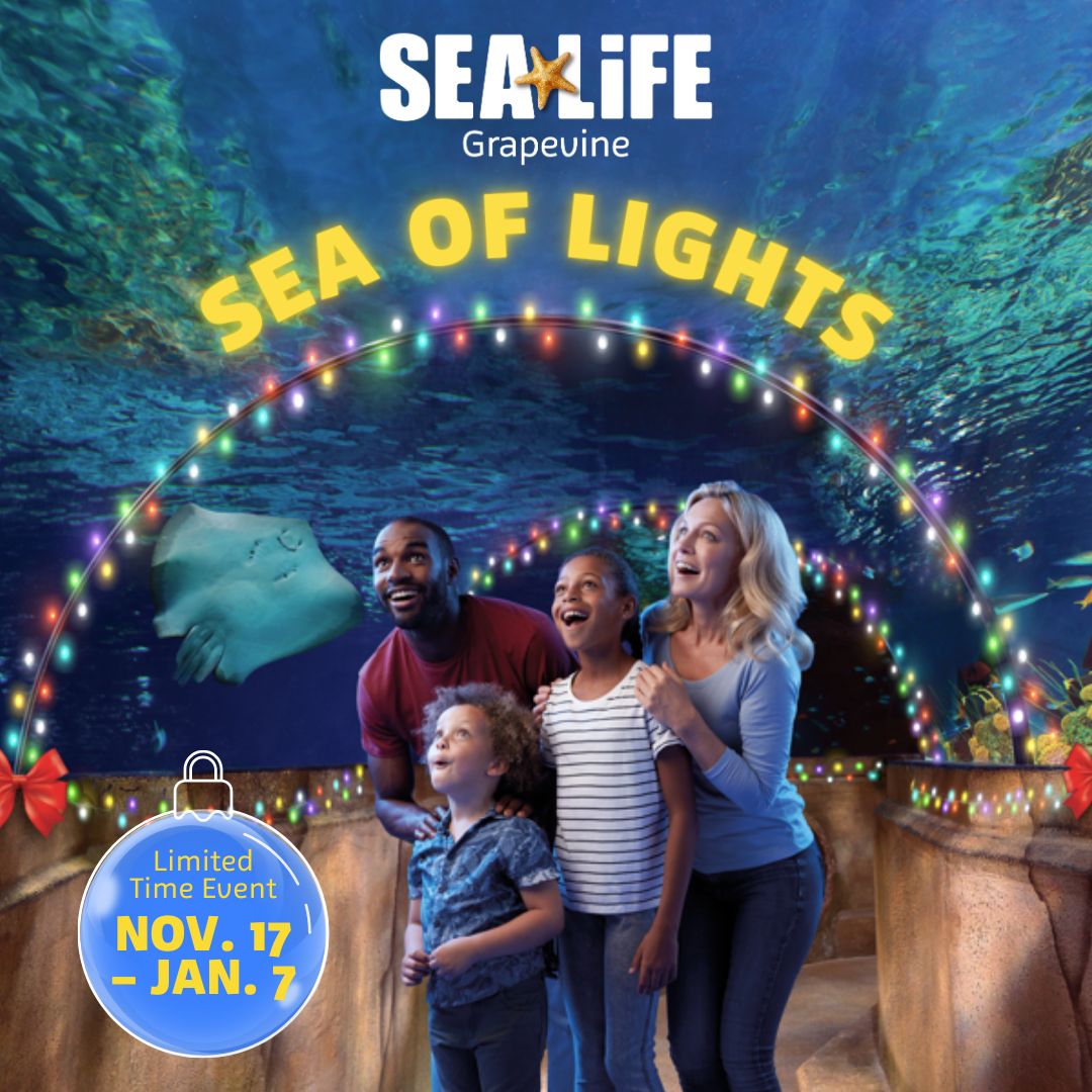 SEA Of Lights | SEA LIFE Aquarium Grapevine, Grapevine, Texas, United States