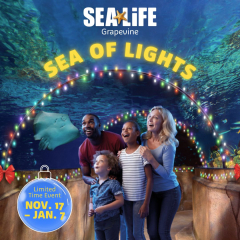 SEA Of Lights | SEA LIFE Aquarium Grapevine