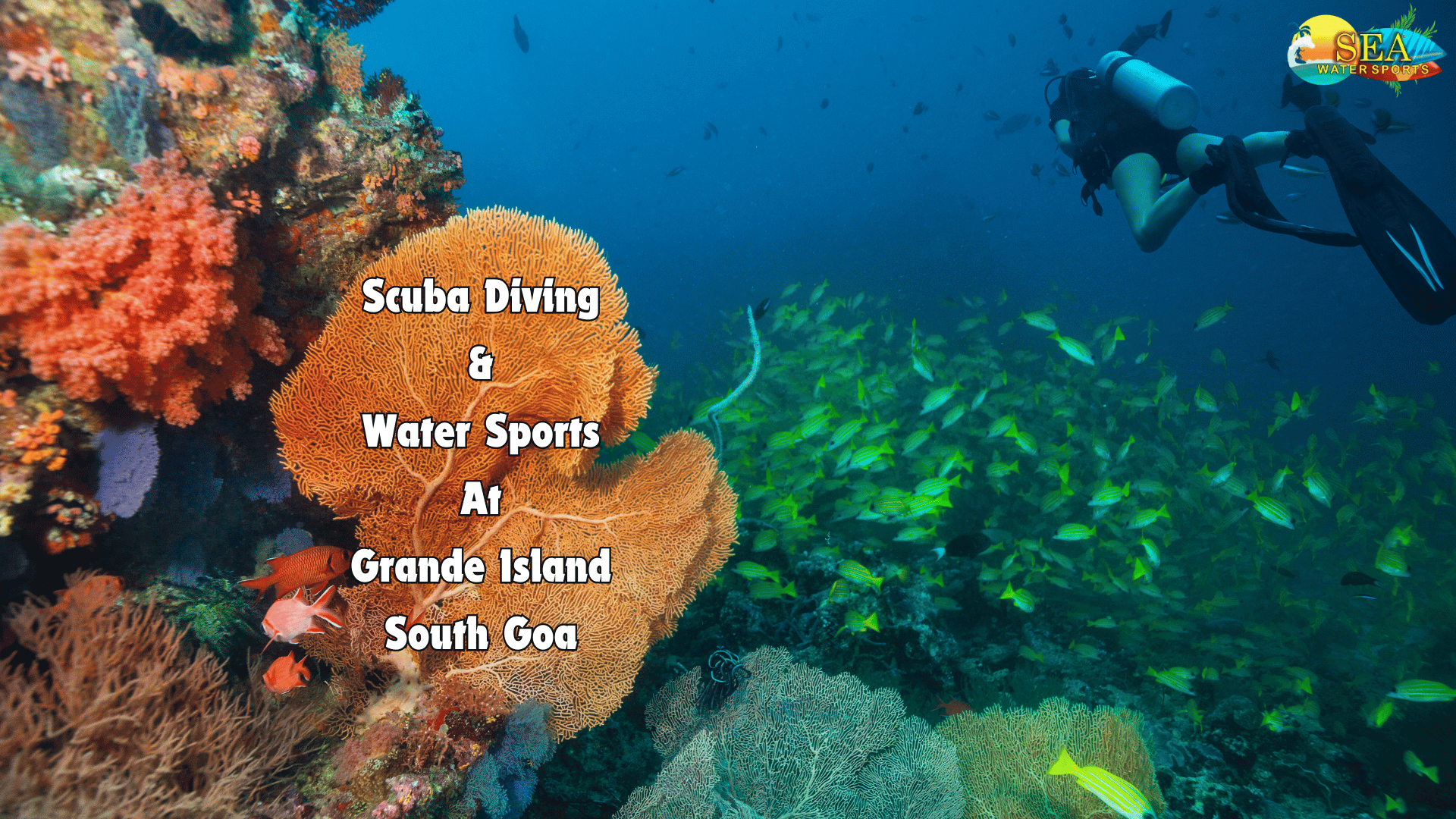 Scuba Diving & Water Sports At Grande Island, South Goa, South Goa, Goa, India