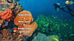 Scuba Diving & Water Sports At Grande Island, South Goa