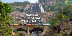 Magical Dudhsagar Water Fall Trip