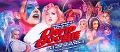 12th Annual David Boobie★ David Bowie Black Friday Weekend 11/24 and 11/25 Crystal Ballroom Somerville