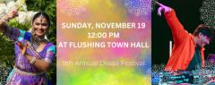 9th Annual Diwali Festival