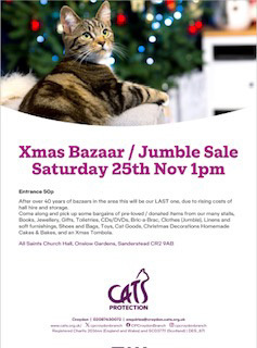 Cats Protection Xmas Bazaar / Jumble Sale, South Croydon, England, United Kingdom