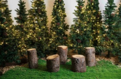 Christmas Grotto Photoshoot at Montcalm East
