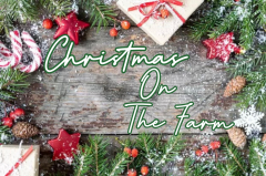 Christmas On The Farm