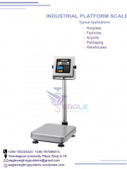Counting Weight Balance Platform Scale