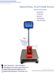 Newest Electronic Price Portable Precision Wireless Digital Weighing Platform Scales