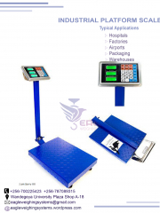 Electronic Wireless Platform Scale Steel LED