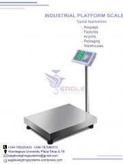 Carbon Steel Platform Bench Scale with A12E