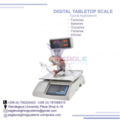 ACS-30kg Price Computing Scale with Printer Price Bench Scale