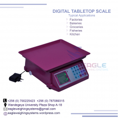 220V 30kg Price Computing Electronic Balance Scale