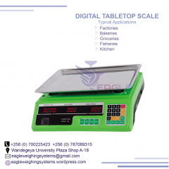 Professional Manufacture 3kg 6kg 15kg 30kg Weighing Scale