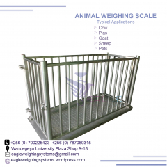Farm Animal Weighing scales shop in Uganda