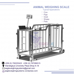 Best price of animal weighing scales in Kampala
