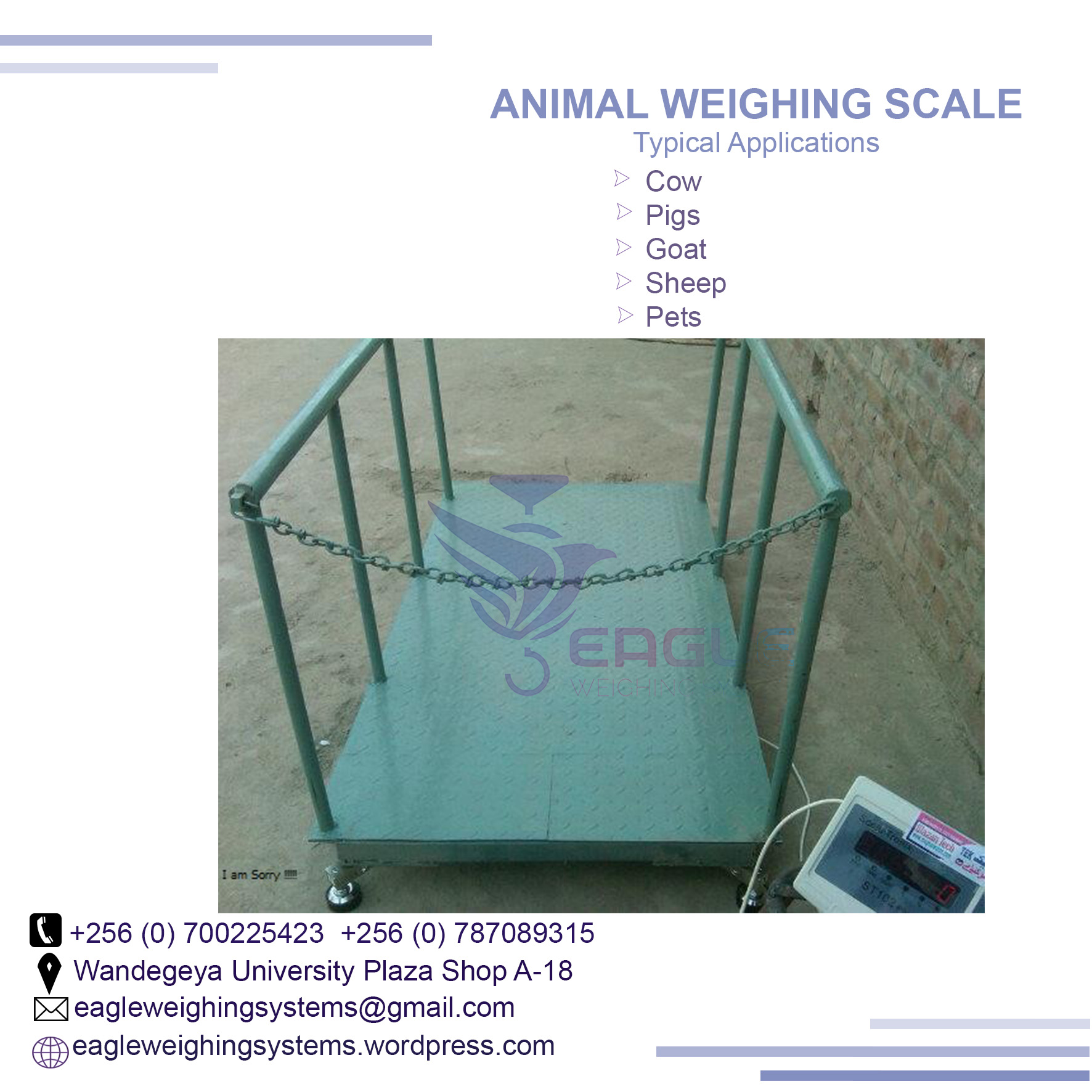 Multi-function animal weighing indicators company in Uganda, Kampala Central Division, Central, Uganda
