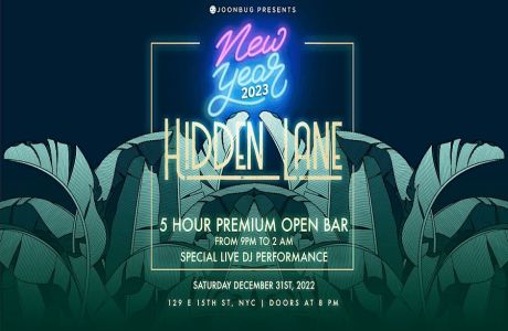 Hidden Lane At Union Square New Years Eve Party 2024, New York, United States