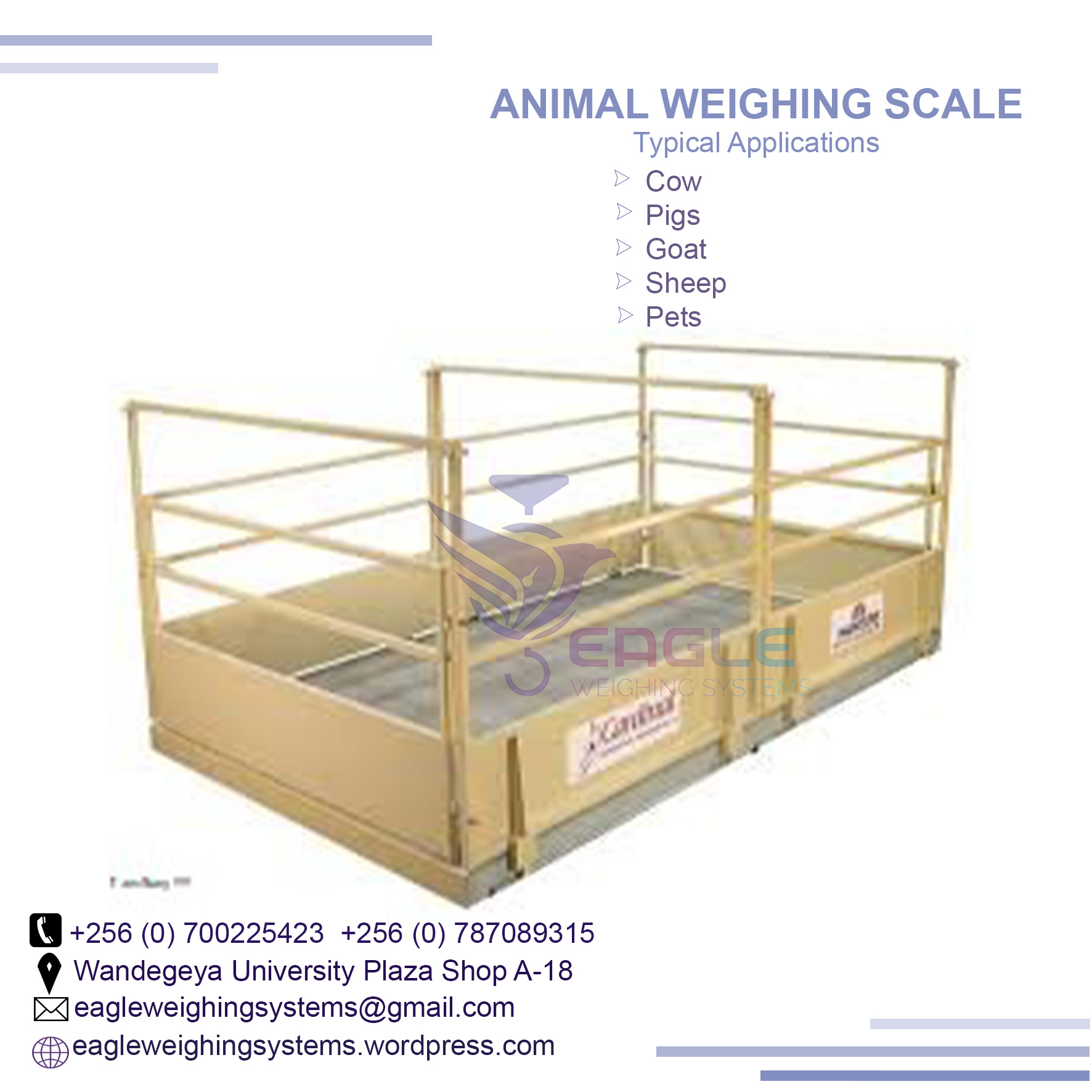 Platform animal weighing scales at Eagle Weighing Systems Kampala, Kampala Central Division, Central, Uganda