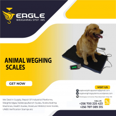 Animal Computing weighing  scales for shops in Uganda
