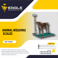 Heavy duty animal, cows, livestock weighing scales supplier of Uganda